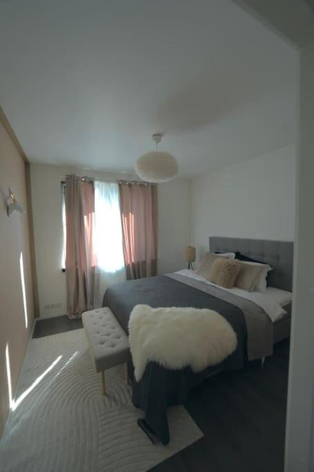 Cosy,Stylish & Big Apartment In The Heart Of City 罗瓦涅米 外观 照片